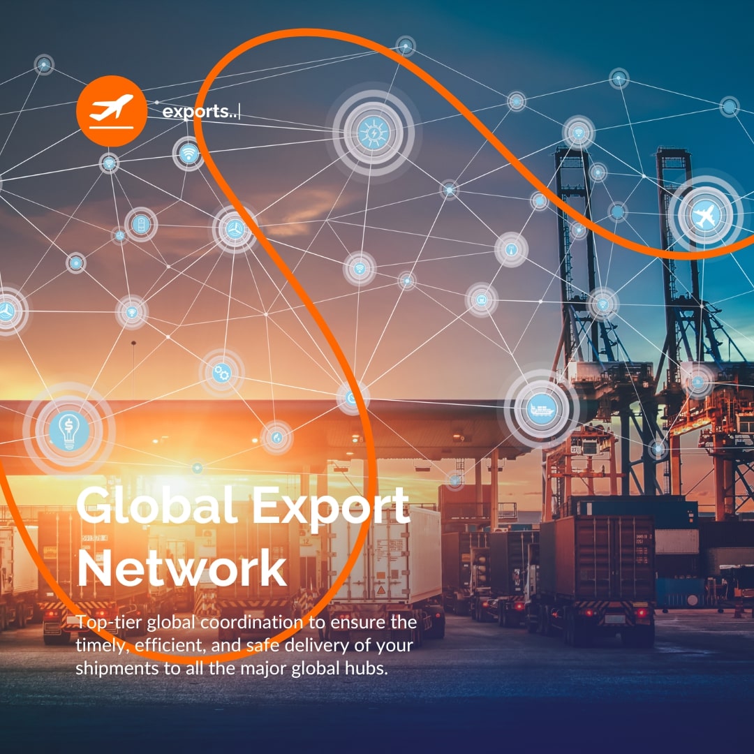 Global Export Network